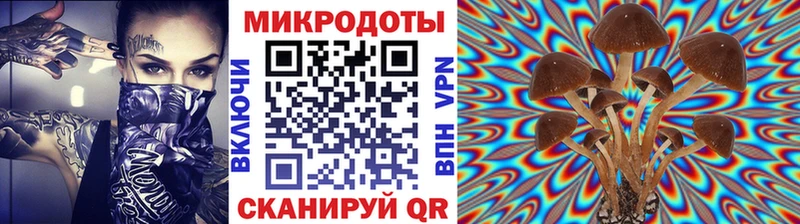 Галлюциногенные грибы Psilocybe  Купить  Дятьково 